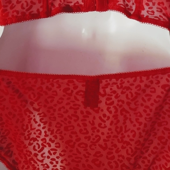 Rene Rofe Balconette and Panty Set Red 36C - Picture 7 of 7